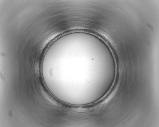 X0000091361113200708101050