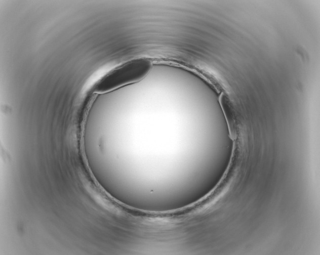 X0000091361114200708101050