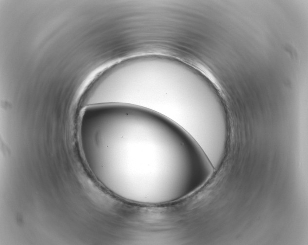 X0000091361116200708101050