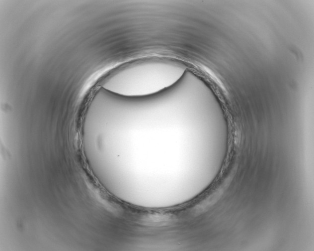 X0000091361117200708101050
