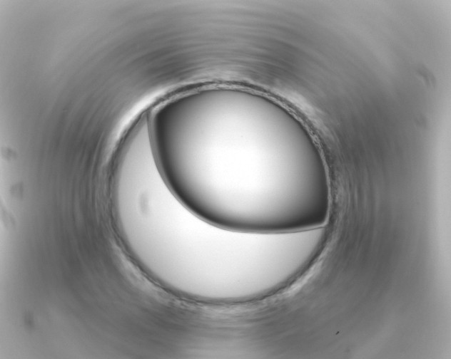 X0000091361118200708101050