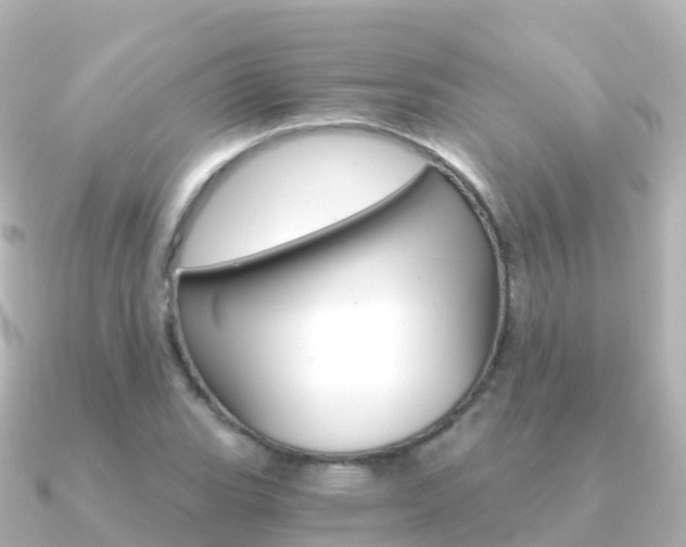 X0000091361119200708101050
