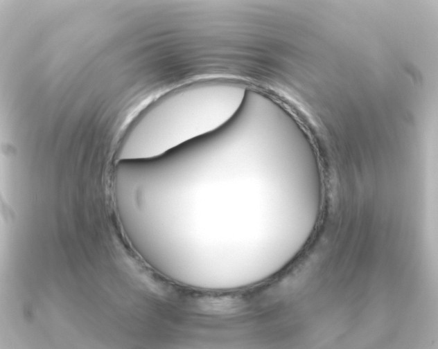 X0000091361121200708101050