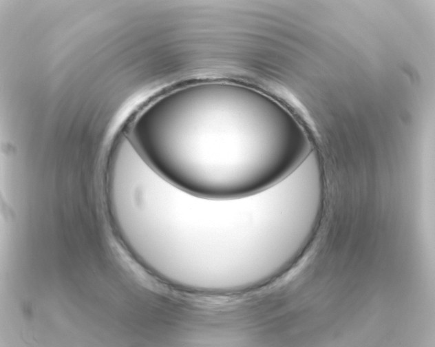 X0000091361122200708101050