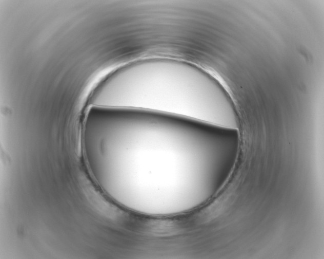 X0000091361123200708101050