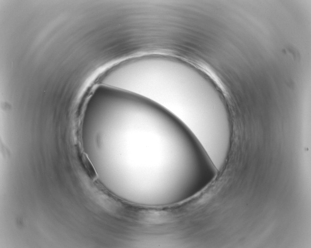 X0000091361124200708101050