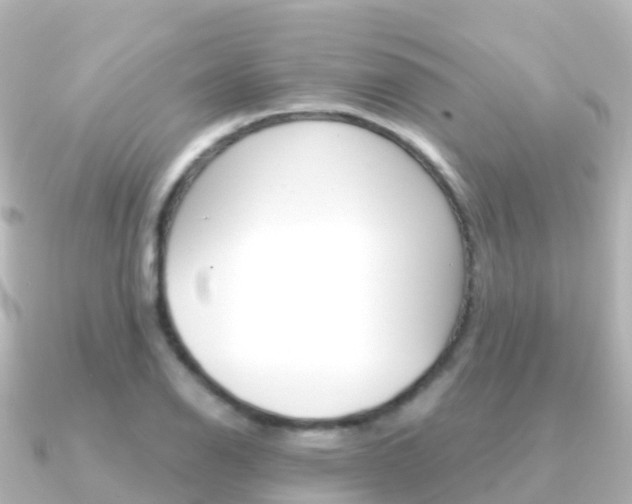 X0000091361126200708101050