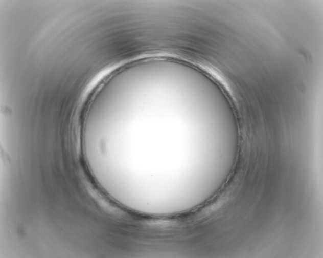 X0000091361127200708101050