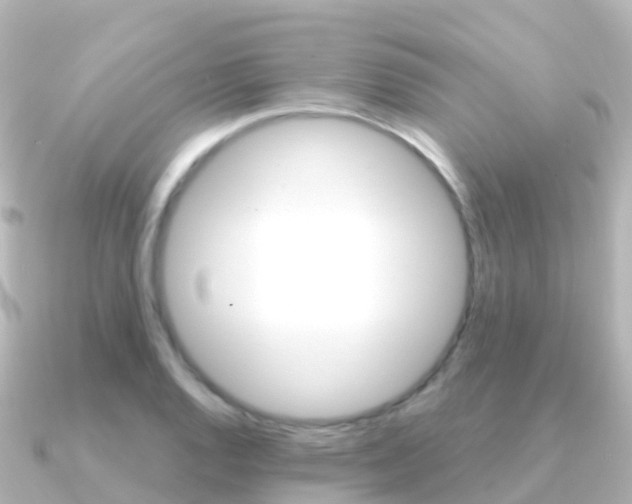 X0000091361128200708101050