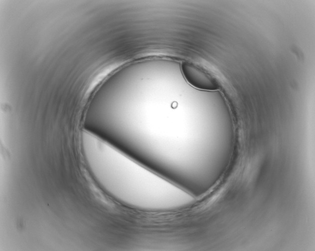 X0000091361129200708101050