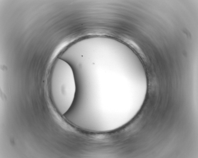 X0000091361130200708101050