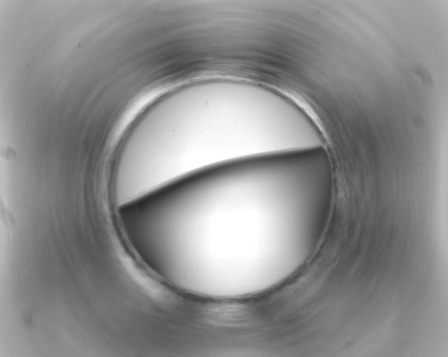 X0000091361131200708101050