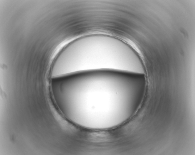 X0000091361133200708101050