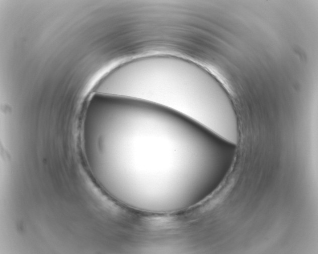 X0000091361134200708101050