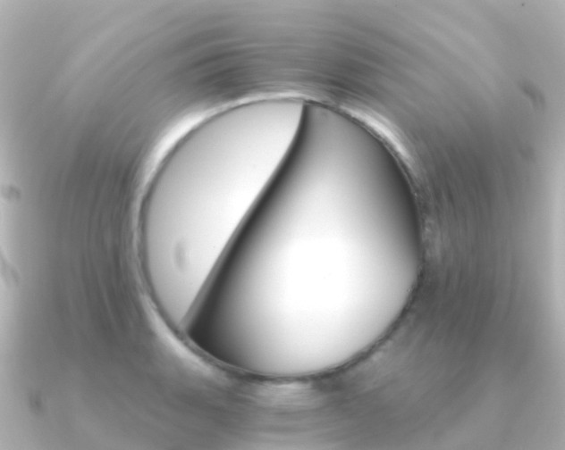 X0000091361135200708101050