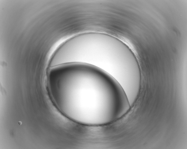 X0000091361136200708101050