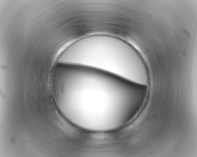 X0000091361137200708101050
