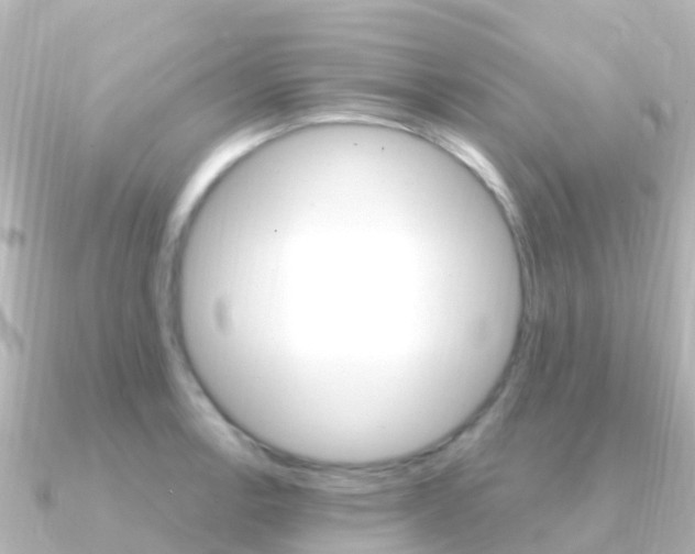 X0000091361138200708101050
