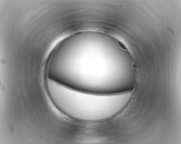 X0000091361139200708101050