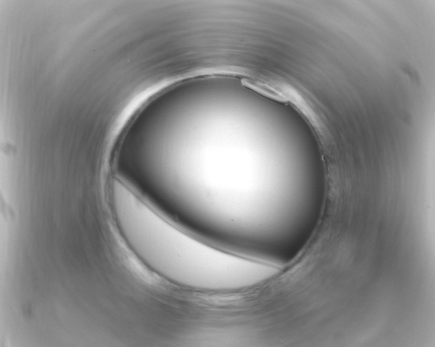 X0000091361140200708101050