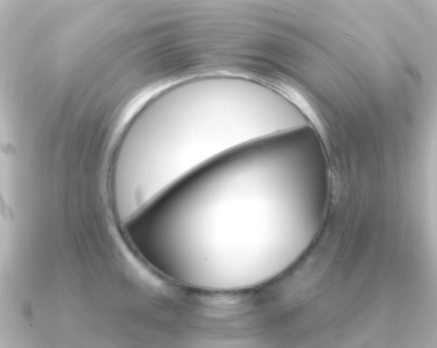X0000091361141200708101050