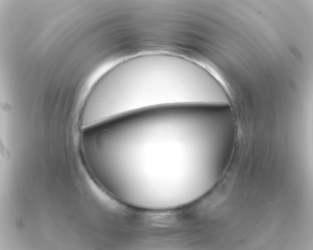 X0000091361143200708101050