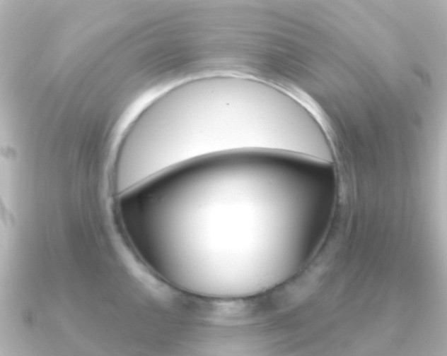X0000091361144200708101050