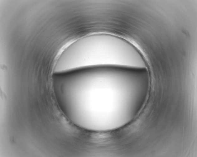 X0000091361145200708101050