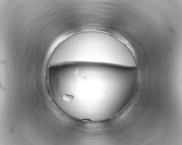 X0000091361146200708101050