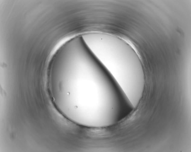 X0000091361147200708101050