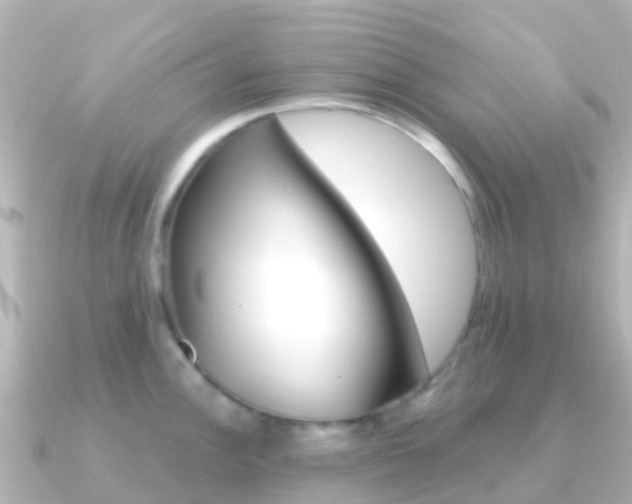 X0000091361148200708101050