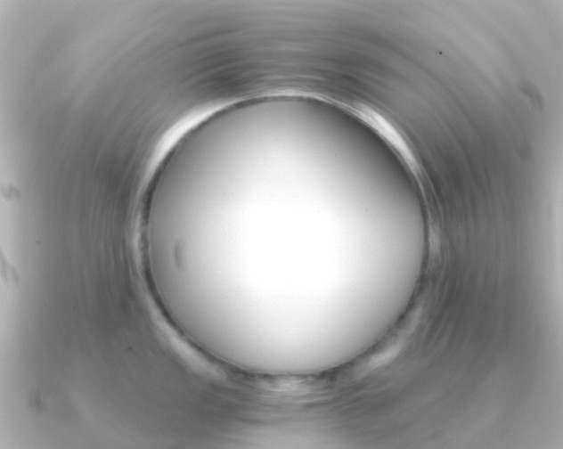 X0000091361149200708101050
