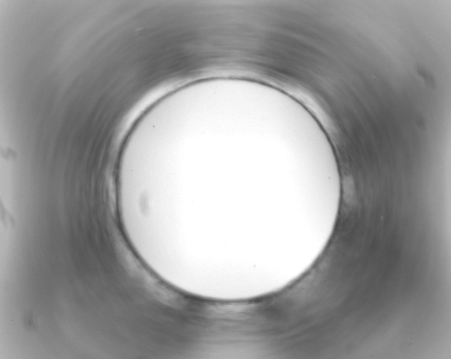 X0000091361150200708101050