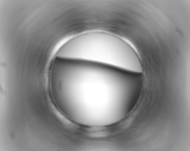 X0000091361151200708101050