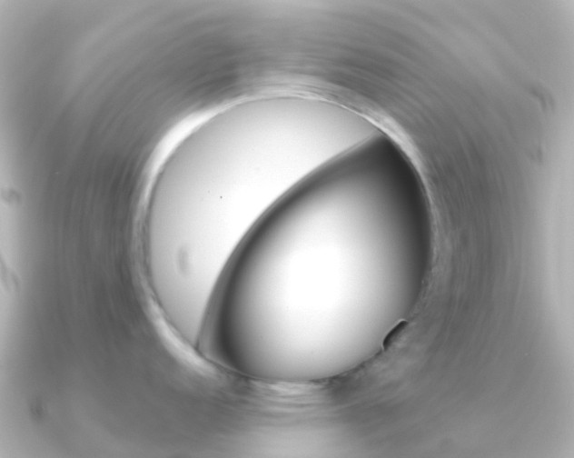 X0000091361152200708101050