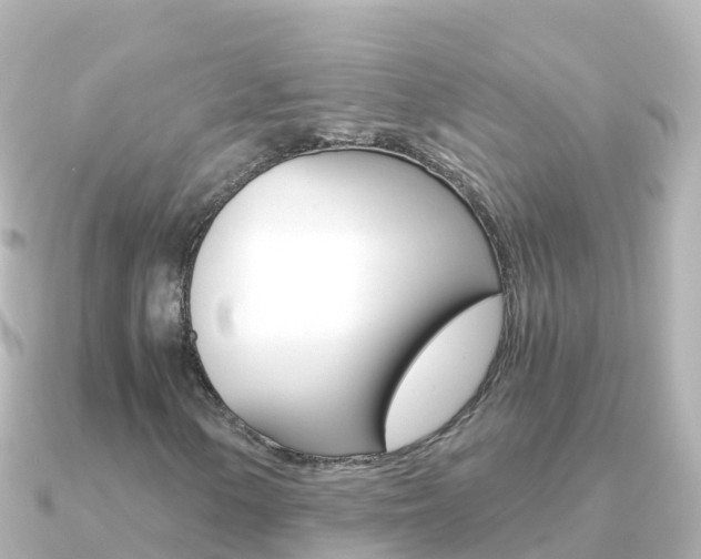X0000091361154200708101049