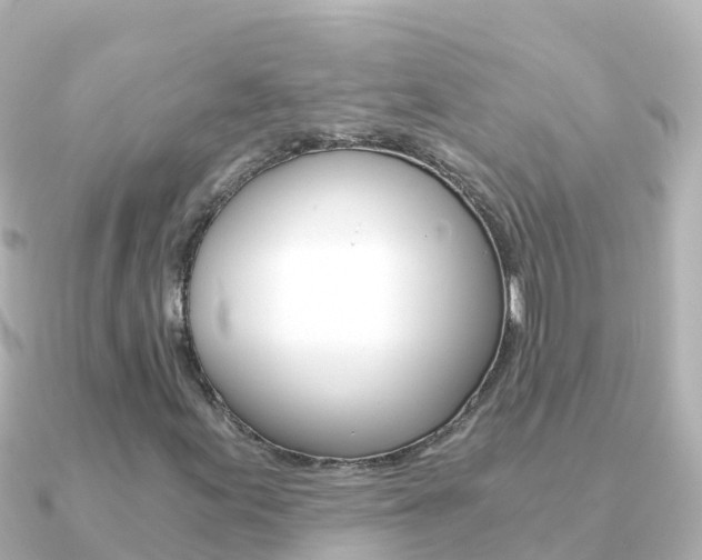 X0000091361155200708101049