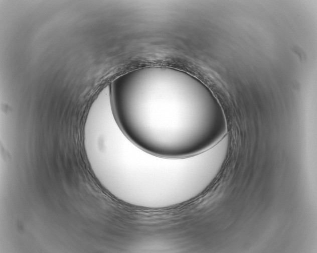 X0000091361156200708101049
