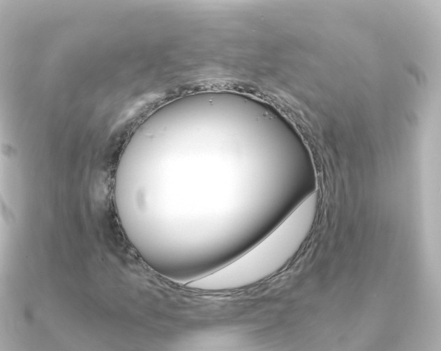 X0000091361157200708101049