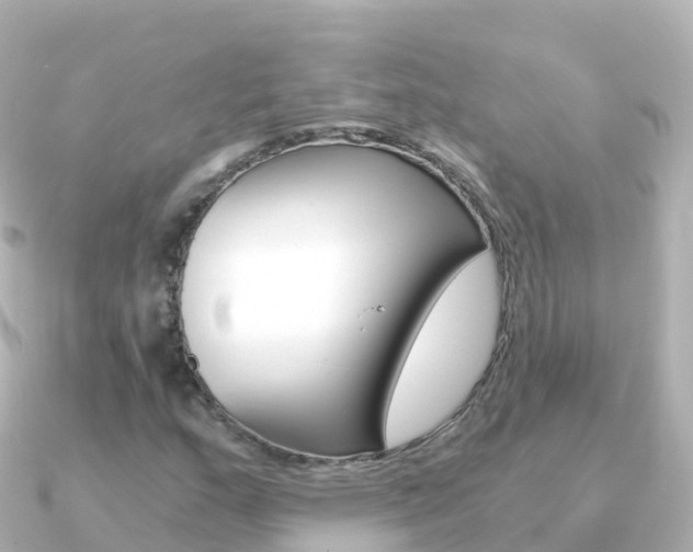 X0000091361159200708101049