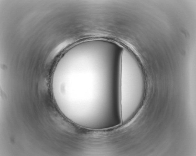 X0000091361163200708101049