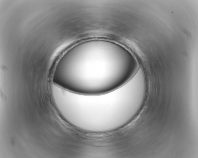 X0000091361164200708101049