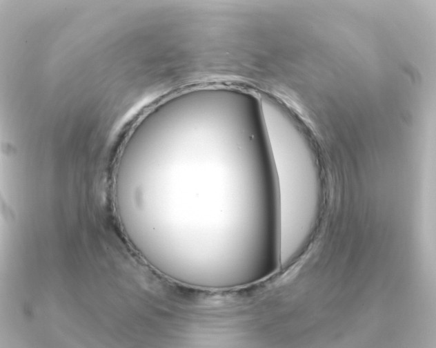 X0000091361165200708101049