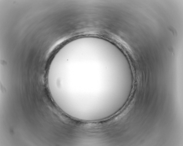 X0000091361166200708101049