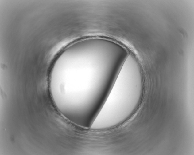 X0000091361167200708101049