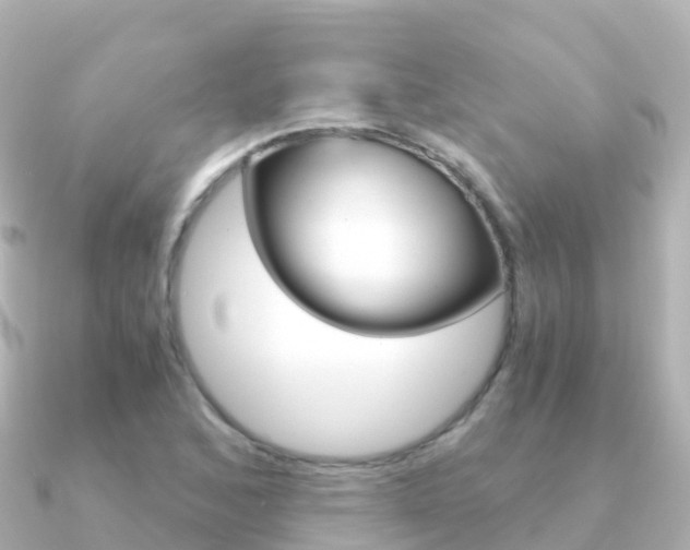 X0000091361168200708101049