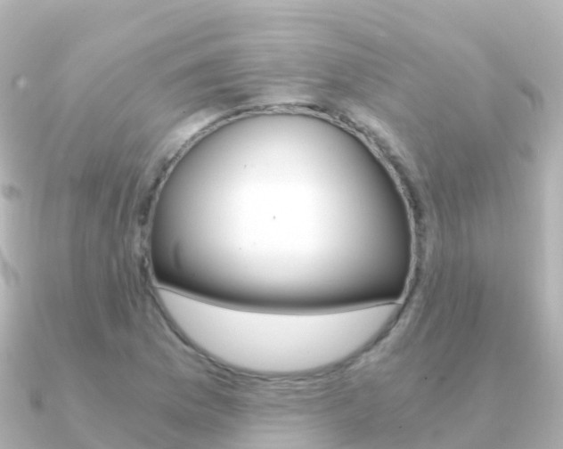 X0000091361169200708101049