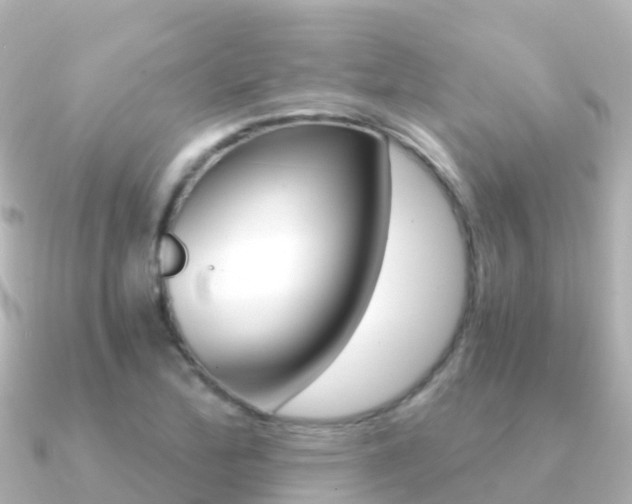 X0000091361172200708101049