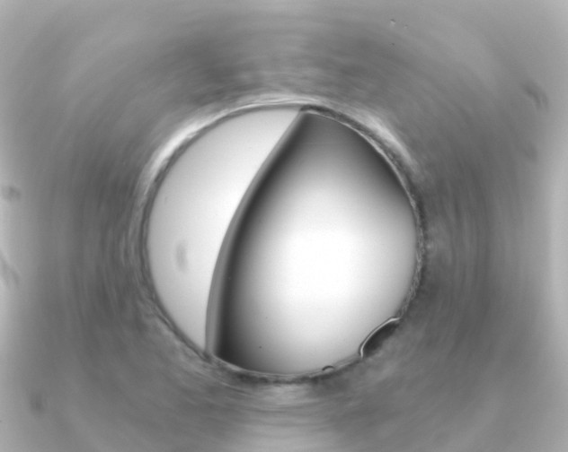 X0000091361173200708101049