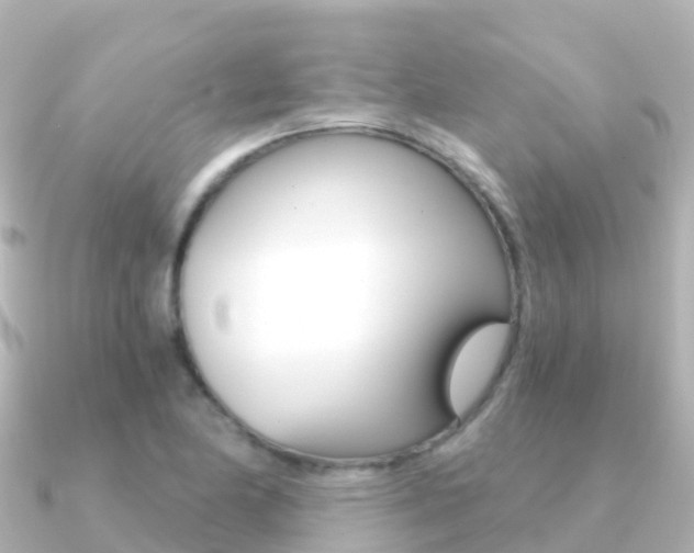 X0000091361174200708101049